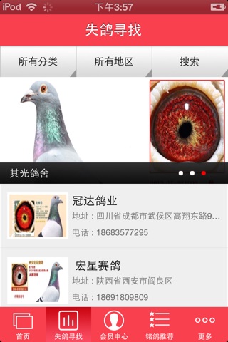 中国信鸽公棚网 screenshot 2