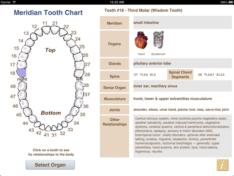 Fdi Chart Dental