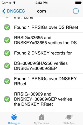 DNSSEC ANALYZER screenshot 4