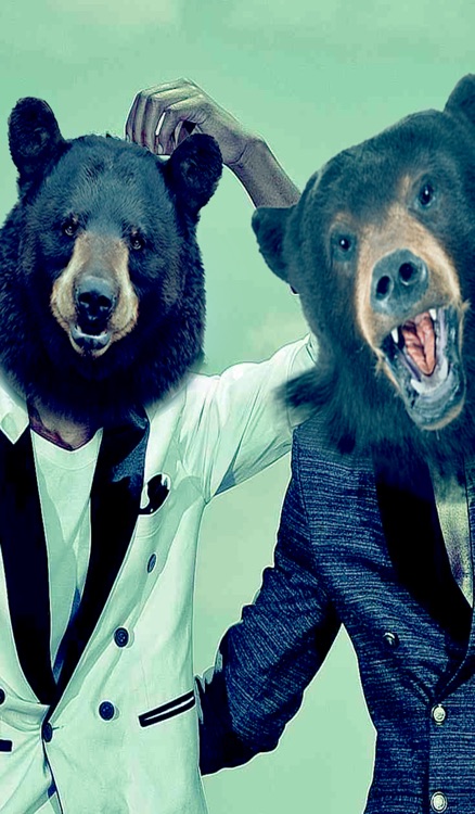 Bearify™-Sticker and Wallpaper App in One! Bear Head Photo & Sticker App!