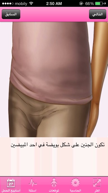 متابعة الحمل