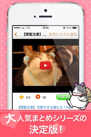 かわいいねこ動画見放題！無料で面白いまとめシリーズの決定版●新着から殿堂入りまでYouTubeで話題のどうが満載● screenshot 2