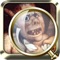 PlayArts: Bruegel brings the classical masterpieces of famous Renaissance painter Pieter Bruegel right onto your iPhone or iPad as an exciting and challenging mobile game