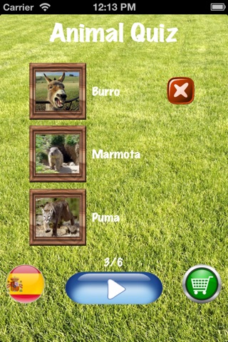 My Animal Quiz screenshot 3