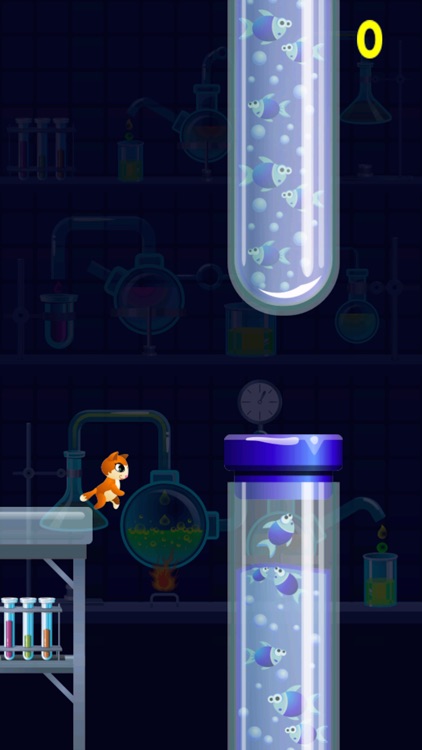 Kitty Cat Jump City - Don’t Get Boxed In Trying To Find Food