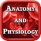 Anatomy & Physiology I and II
