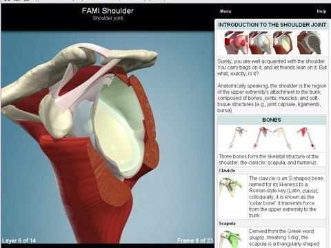 Functional Anatomy for Movement and Injuries: Shoulder screenshot 2