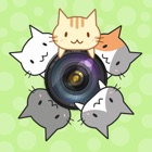 CatCamera -Take photos with cats!-