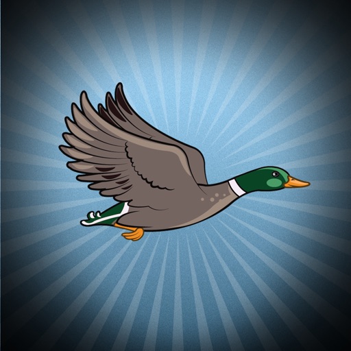 Flappy Space Duck iOS App