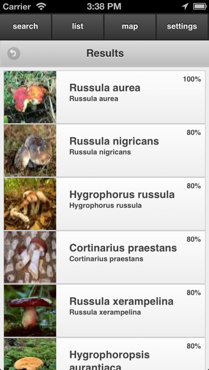 Boletus Lite - mushrooms