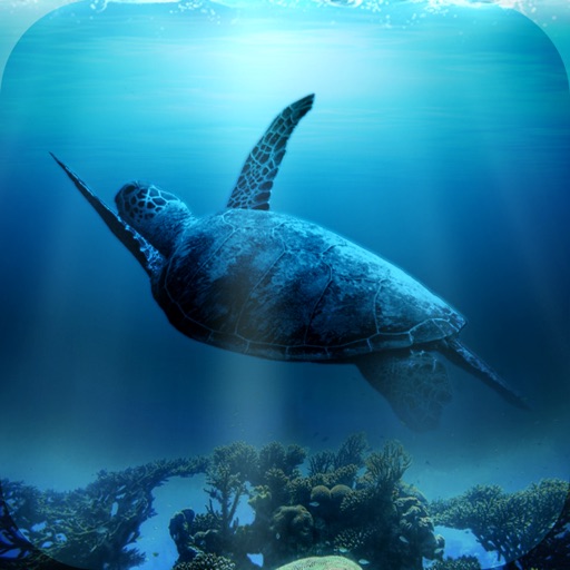 Water world - pipe puzzle! iOS App