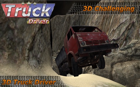 3D Truck Driver : Off Road screenshot 3