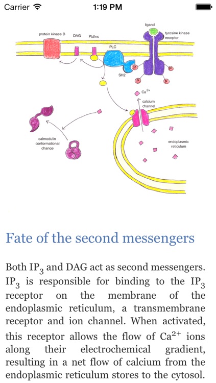 Biochemistry Reference