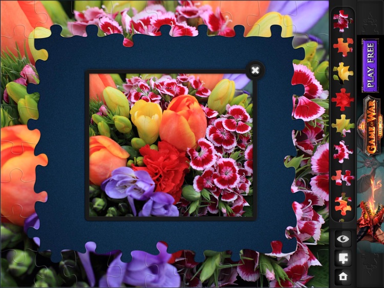 Jigsaw Puzzles: Flowers