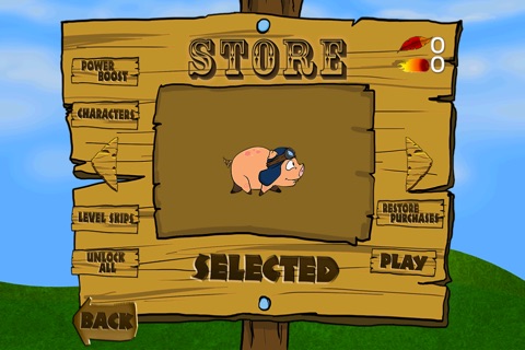 Rocket Pig - Piggie with Birds on Happy Farm Days - Cool Fun Adventure Arcade Game - FREE screenshot 2