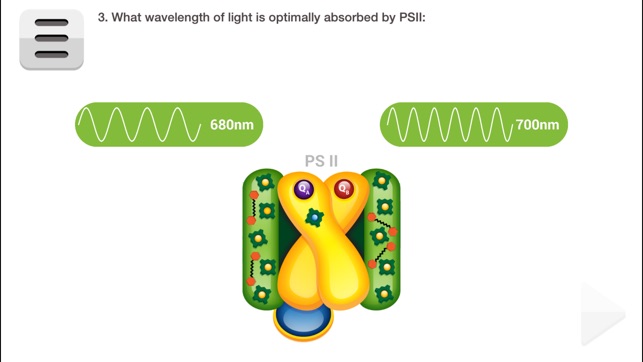 FCS Biology Photosynthesis (Lite)(圖5)-速報App