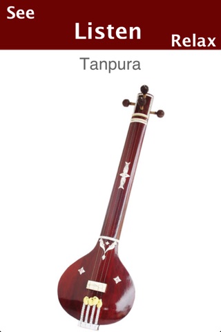 Indian Musical Instruments screenshot 2