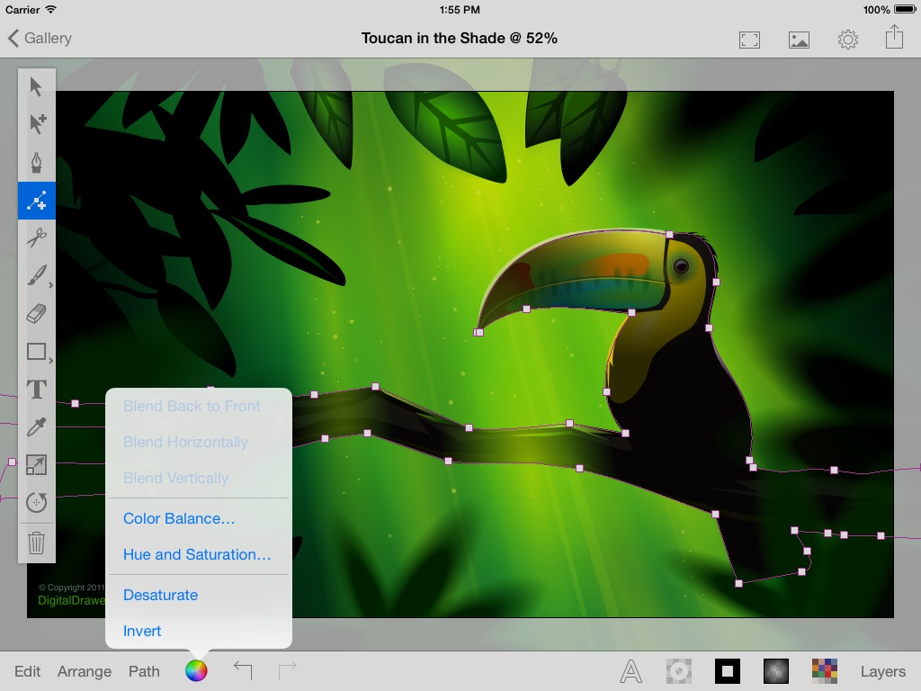 iDesign Touch: 2D Vector Drawing & Design screenshot 4