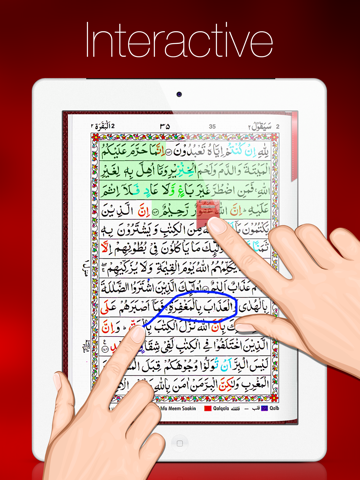 Tajweed Quran in Urdu/Persian Script With Tajweed Guide for iPad screenshot 3