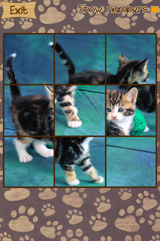 Kitten Slide Puzzles screenshot 3