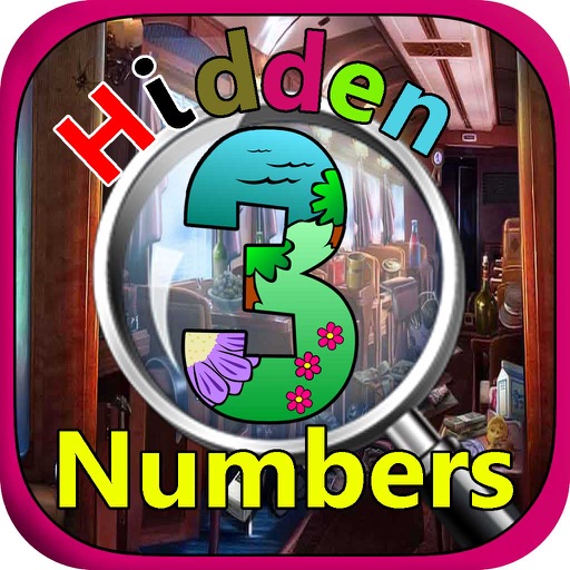 Hidden Numbers Game