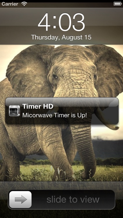 Microwave Timer + screenshot-3