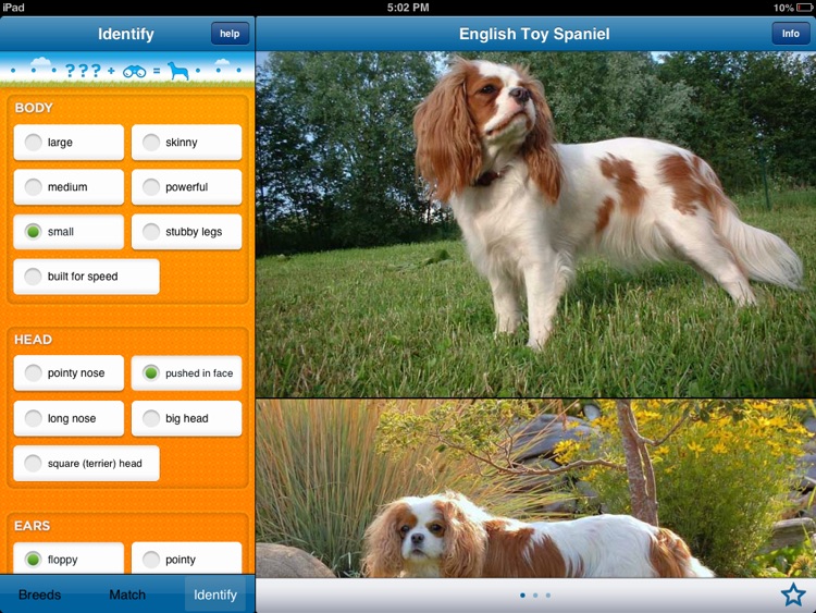 Perfect Dog HD Free - Ultimate Breed Guide To Dogs