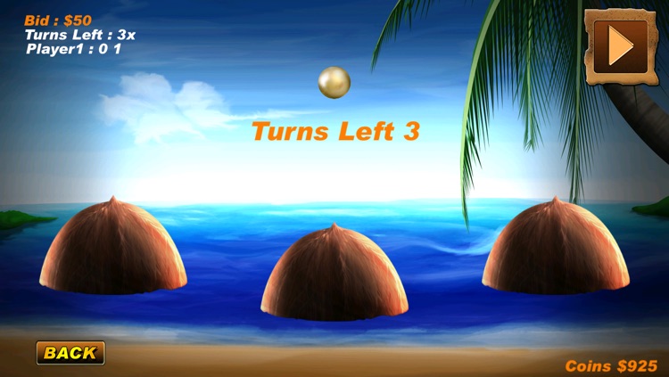 Coconut Beach Summer Vacation : The Shell Game - Free Edition screenshot-3