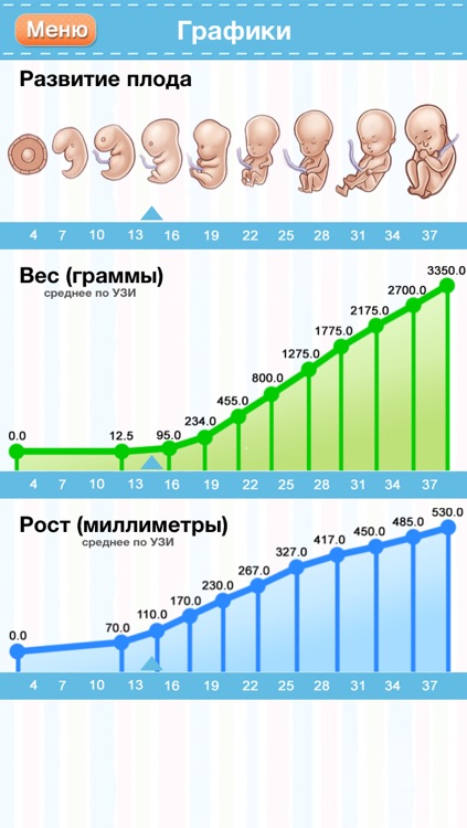 Развитие ребенка по неделям беременности с фото