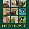 Birds Of Kuwait