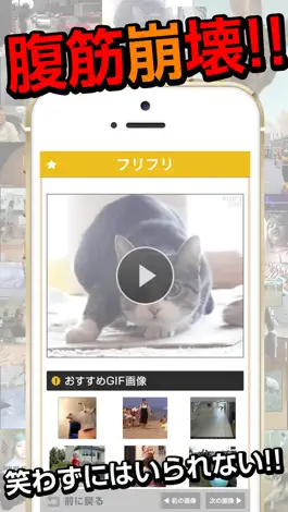 Game screenshot 俺のGIF ～絶対笑えるおもしろGIFアニメ画像～ apk