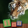 1st GAMES - Wild animals discovery around the world HD puzzle for kids