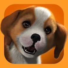 Activities of PlayStation®Vita Pets: Puppy Parlour