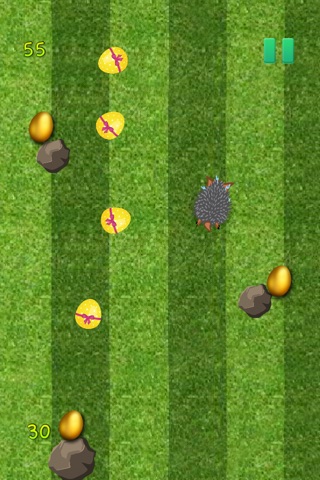 A Planet Of Shattered Eggs - Brave Hedgehog Challenge screenshot 4