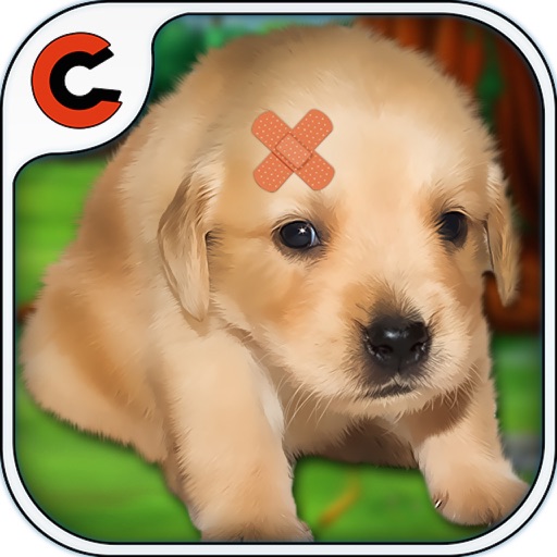 cute puppy doctor icon