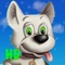 How about a fun run with your dog through everyone's dream land - Candy Land