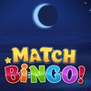 Match Bingo Fun