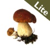 Roger's Mushrooms (Lite)