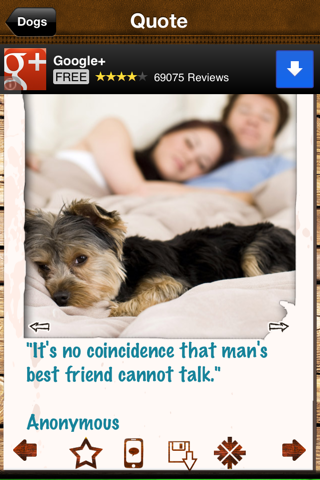 Dogs - Everything for Dog Lovers! - náhled