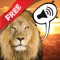 Free Sound Game Wildlife Photo