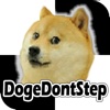 Dont Step on the Doge