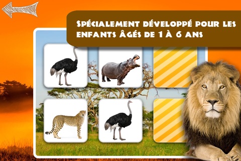 Memo Game Wild Animals Photo screenshot 2