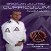 BJJ Blue to Purple Lvl.3 Curriculum Step-by-Step Jiu Jitsu System