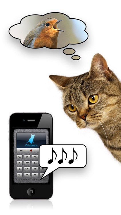 Human-to-Cat Translator Deluxe