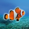 Get Clownfish Tap for iOS, iPhone, iPad Aso Report