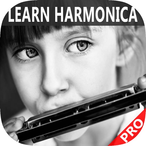 Learn Harmonica - Beginner's Guide icon