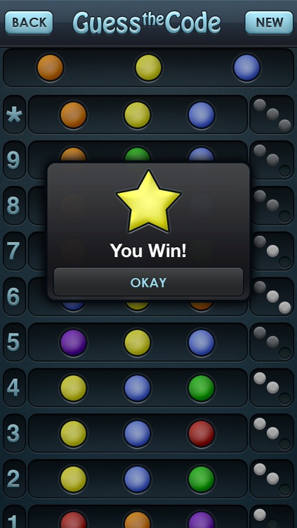 Guess the Code Pro