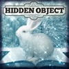 Hidden Object - Animal Seasons