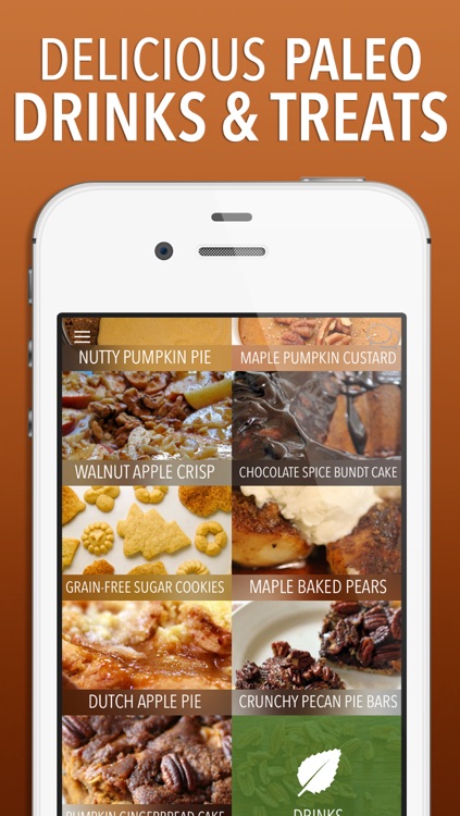 Paleo Holiday Recipes screenshot-4
