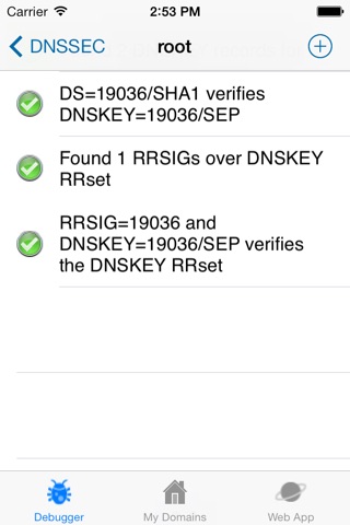 DNSSEC ANALYZER screenshot 3